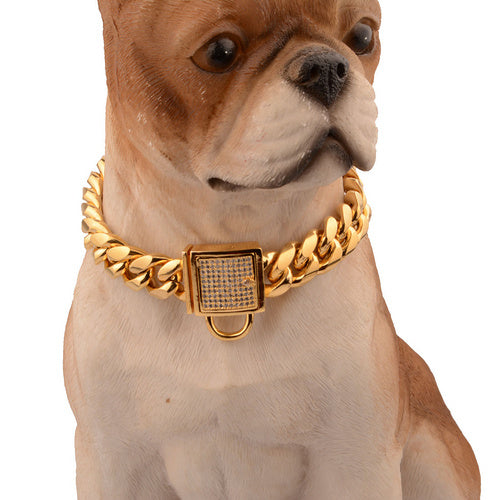Gold Dog Collar