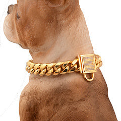 Gold Dog Collar