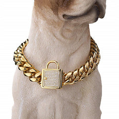 Gold Dog Collar