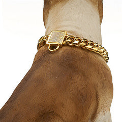 Gold Dog Collar