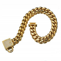 Gold Dog Collar