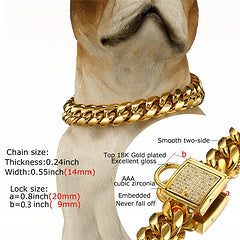 Gold Dog Collar