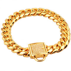 Gold Dog Collar