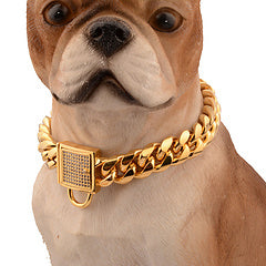 Gold Dog Collar