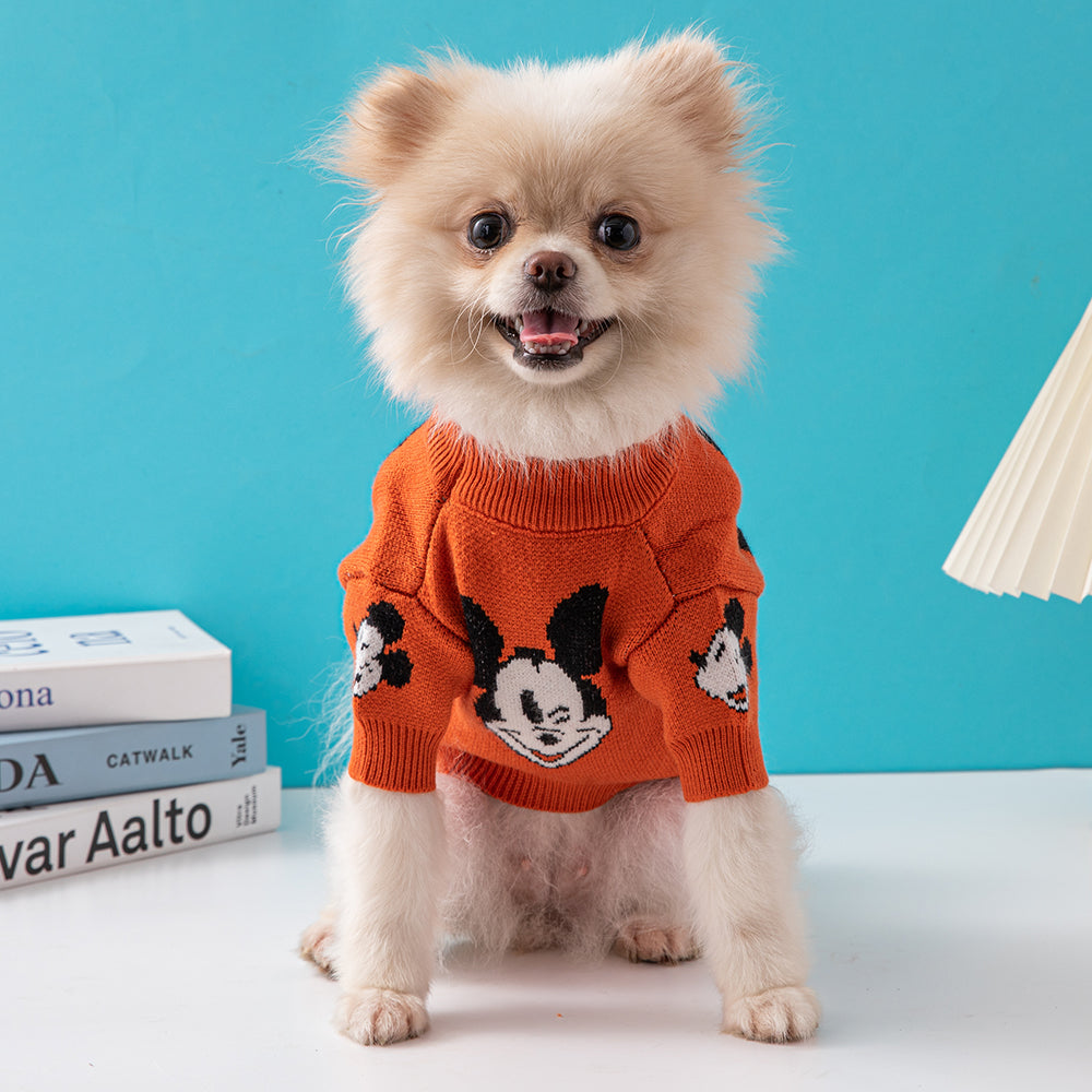 Small Dog Mickey Mouse Sweater