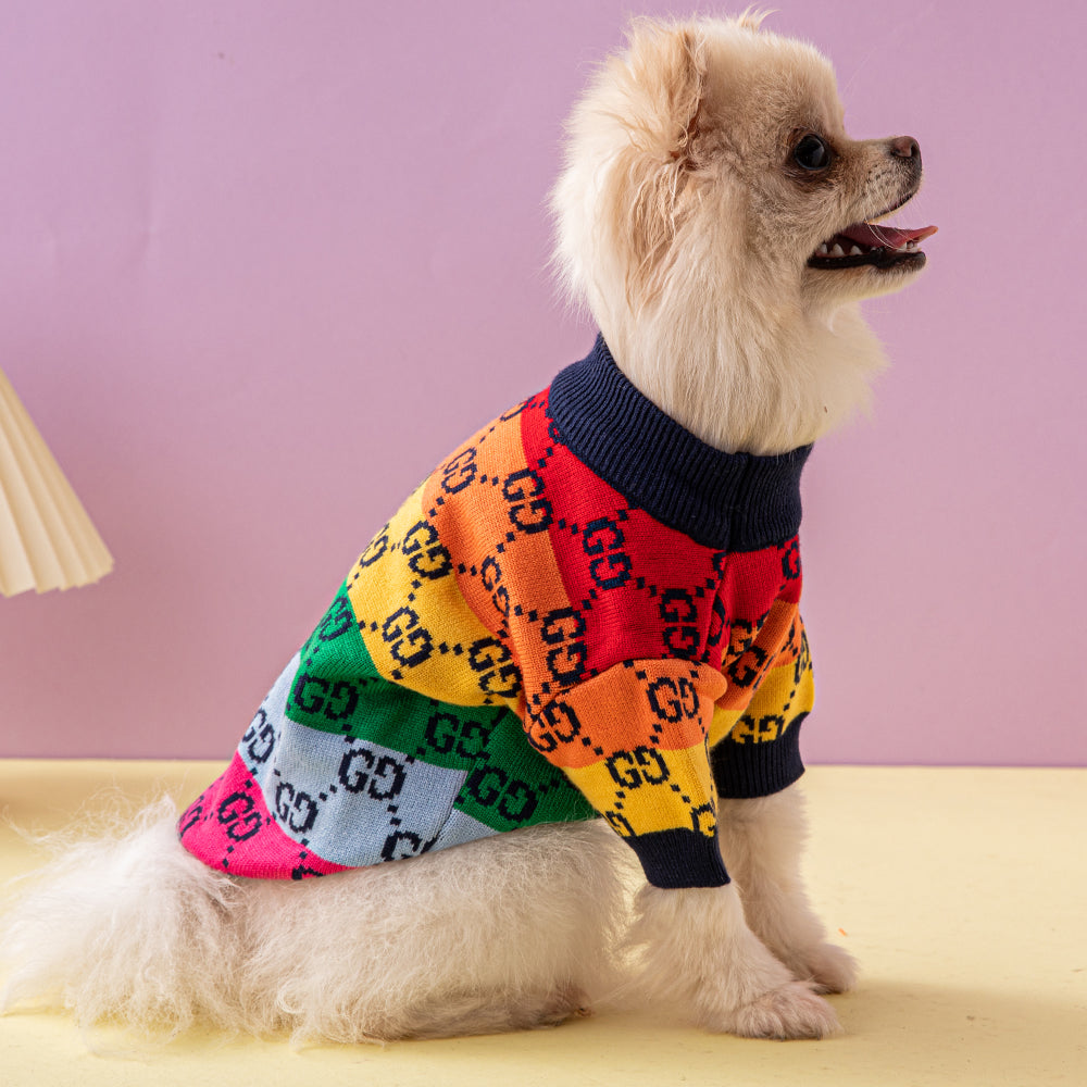 Small Dog Double G Popsicle Sweater
