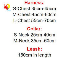 Deziner Double G Leash & Harness