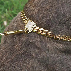 Gold Dog Collar