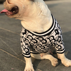 Deziner Balmain Dog Shirt