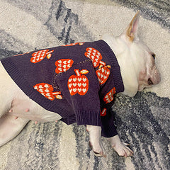 Small Dog Apple Love Sweater