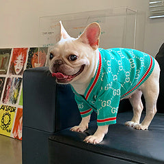 Small Dog Double G Sweater
